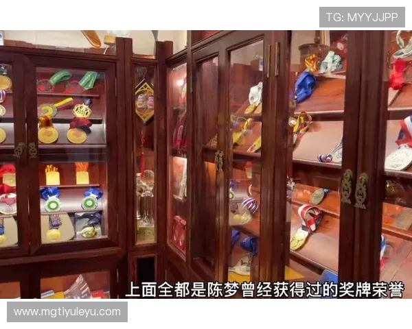 陈梦家的冰箱里塞满了冠军奖杯,饮料都没地儿放 陈梦家的冰箱里塞满了冠军奖杯,饮料都没地儿放